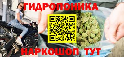 МДПВ Гусев
